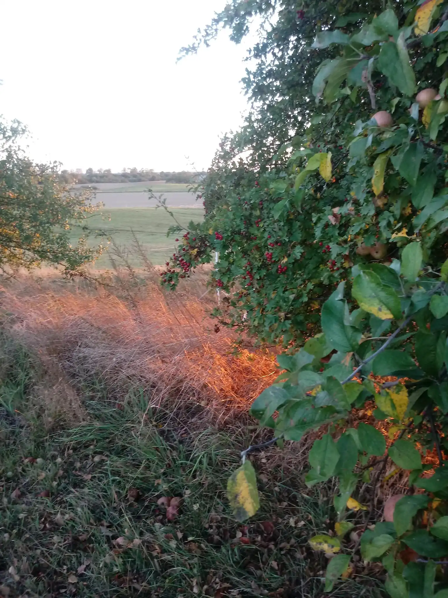 42297056 2064927827154559 3768346057163931648 o